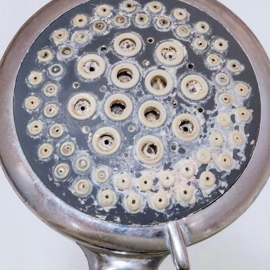 Why filter your shower water?